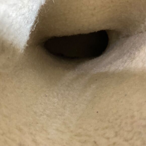 Juicy Couture AOP Suede Mid Calf tall Boots women’s Size 8.5 Brown - Picture 13 of 14